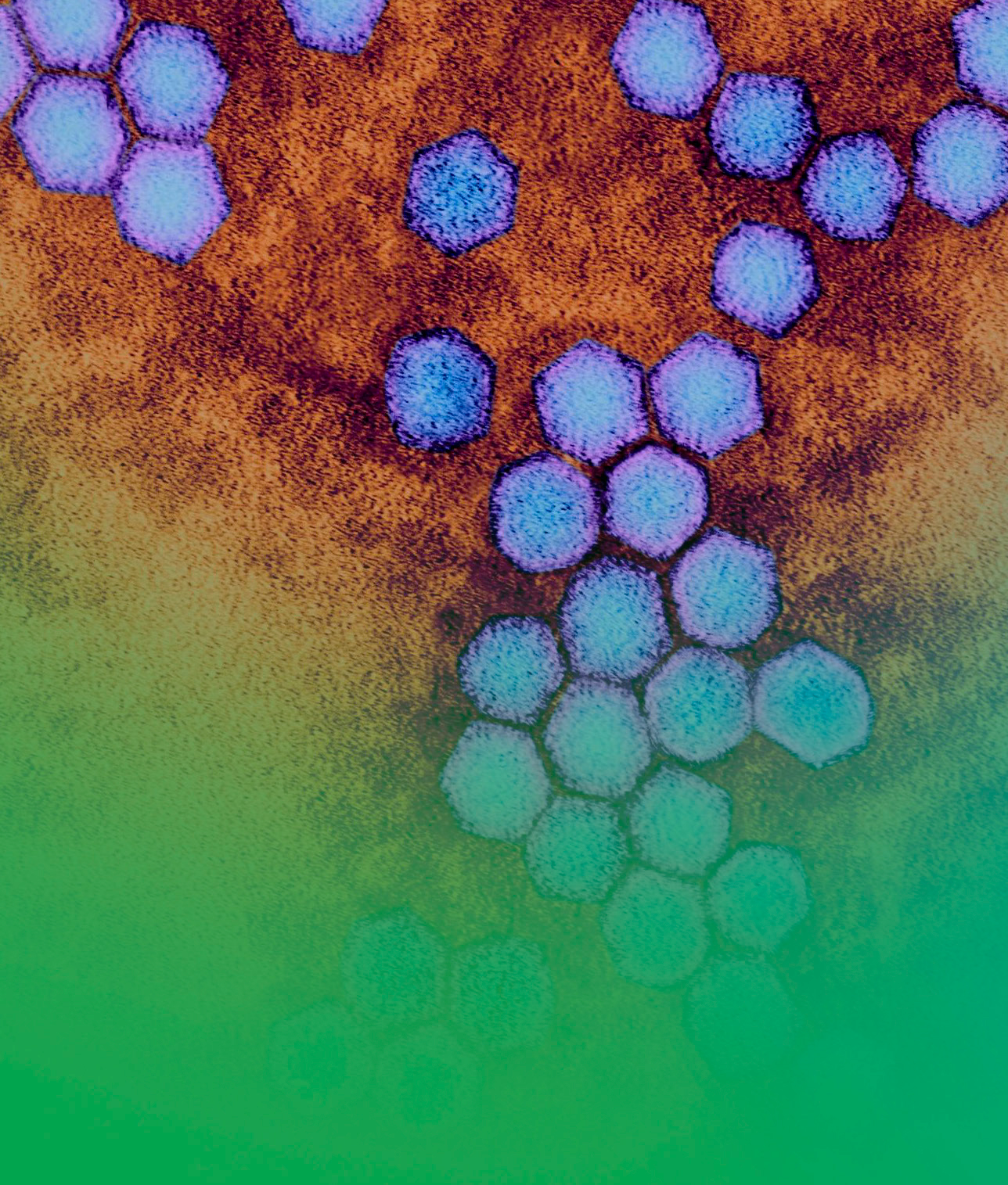 Inactivated Vaccines